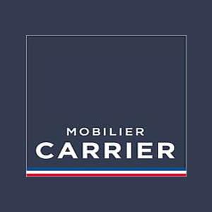 http://web.mobilier-carrier.fr:8069/page/homepage